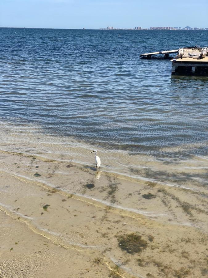 Mar Menor Elisa Apartment سانتياغو دي لا ريبيرا المظهر الخارجي الصورة